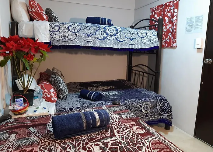 Guest house Alameda House 2*